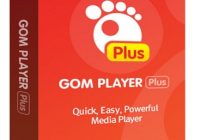 GOM Player Plus 2.3.68.5332 Crack & License Key [2021] Free Download