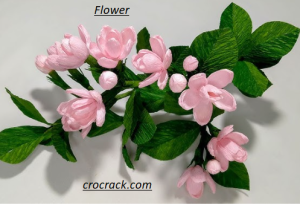 Flower Pro Crack